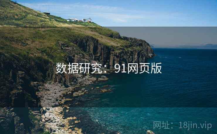数据研究：91网页版