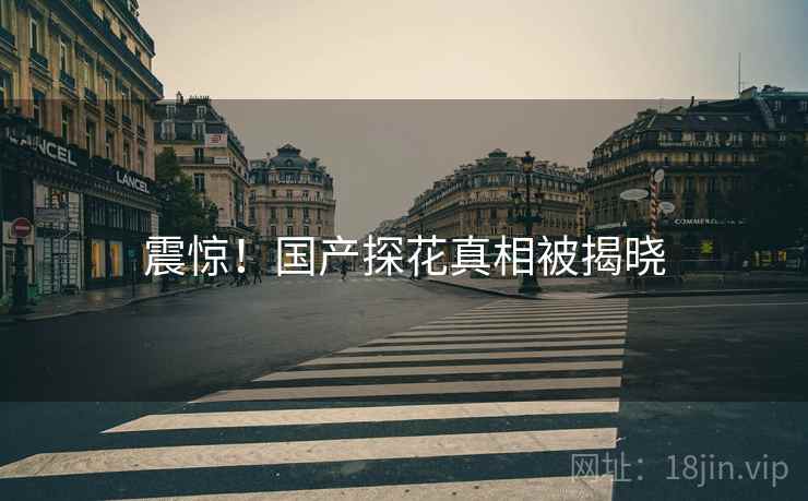 震惊！国产探花真相被揭晓