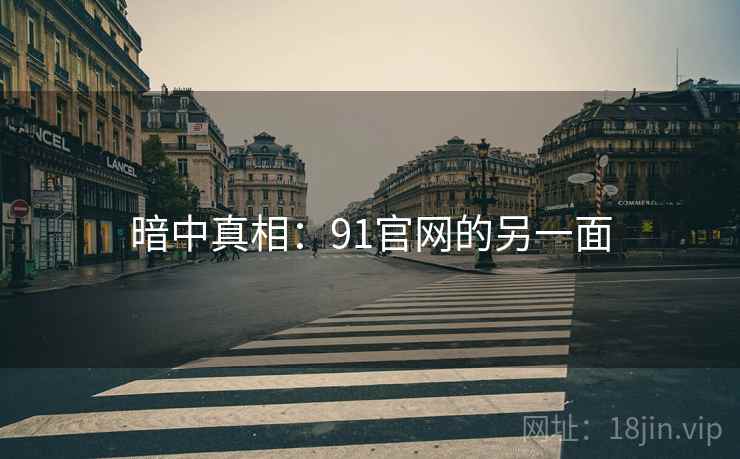 暗中真相：91官网的另一面