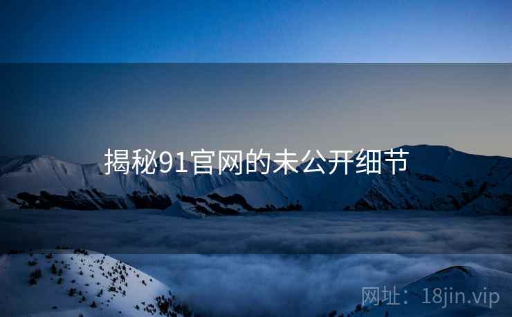 揭秘91官网的未公开细节
