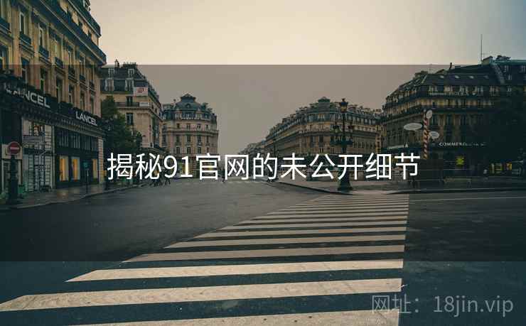 揭秘91官网的未公开细节