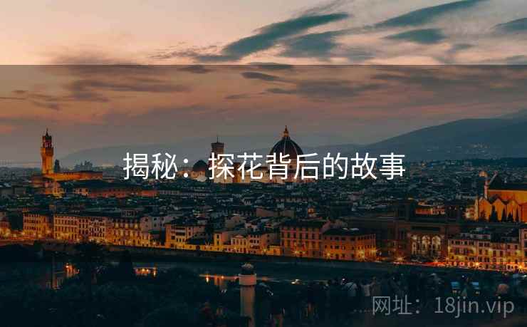 揭秘：探花背后的故事