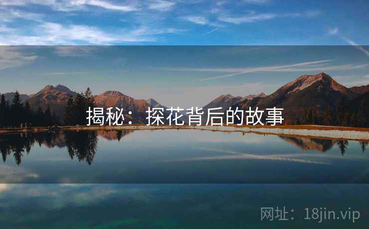 揭秘：探花背后的故事