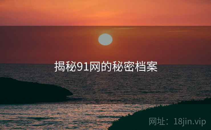 揭秘91网的秘密档案
