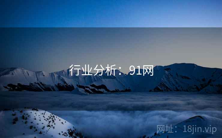 行业分析:91网 行业分析:91网