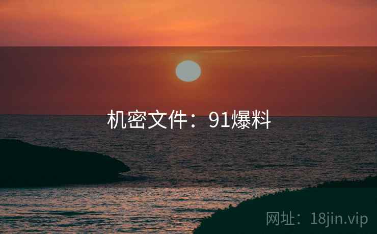 机密文件：91爆料