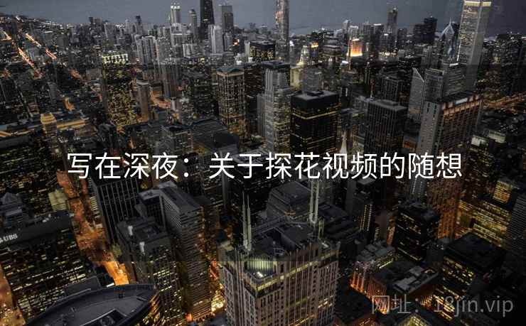 写在深夜:关于探花视频的随想