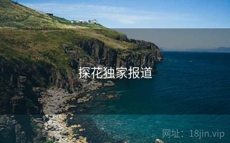 探花独家报道