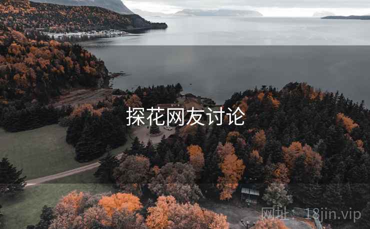 探花网友讨论