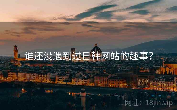 谁还没遇到过日韩网站的趣事？