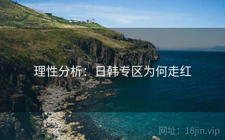 理性分析：日韩专区为何走红