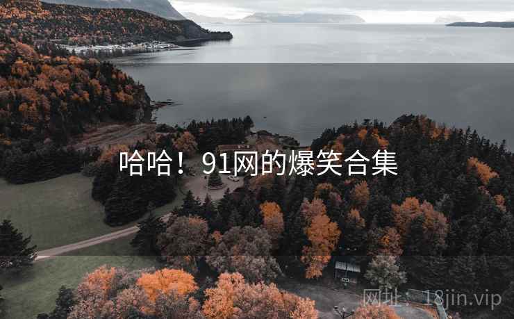 哈哈!91网的爆笑合集 哈哈!91网的爆笑合集